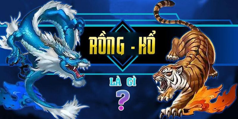 Hướng Dẫn Chi Tiết Cách Chơi Rồng Hổ Hi88 Cơ Bản Cho Bạn 1 Giới thiệu trò chơi Rồng Hổ tại nhà cái Hi88